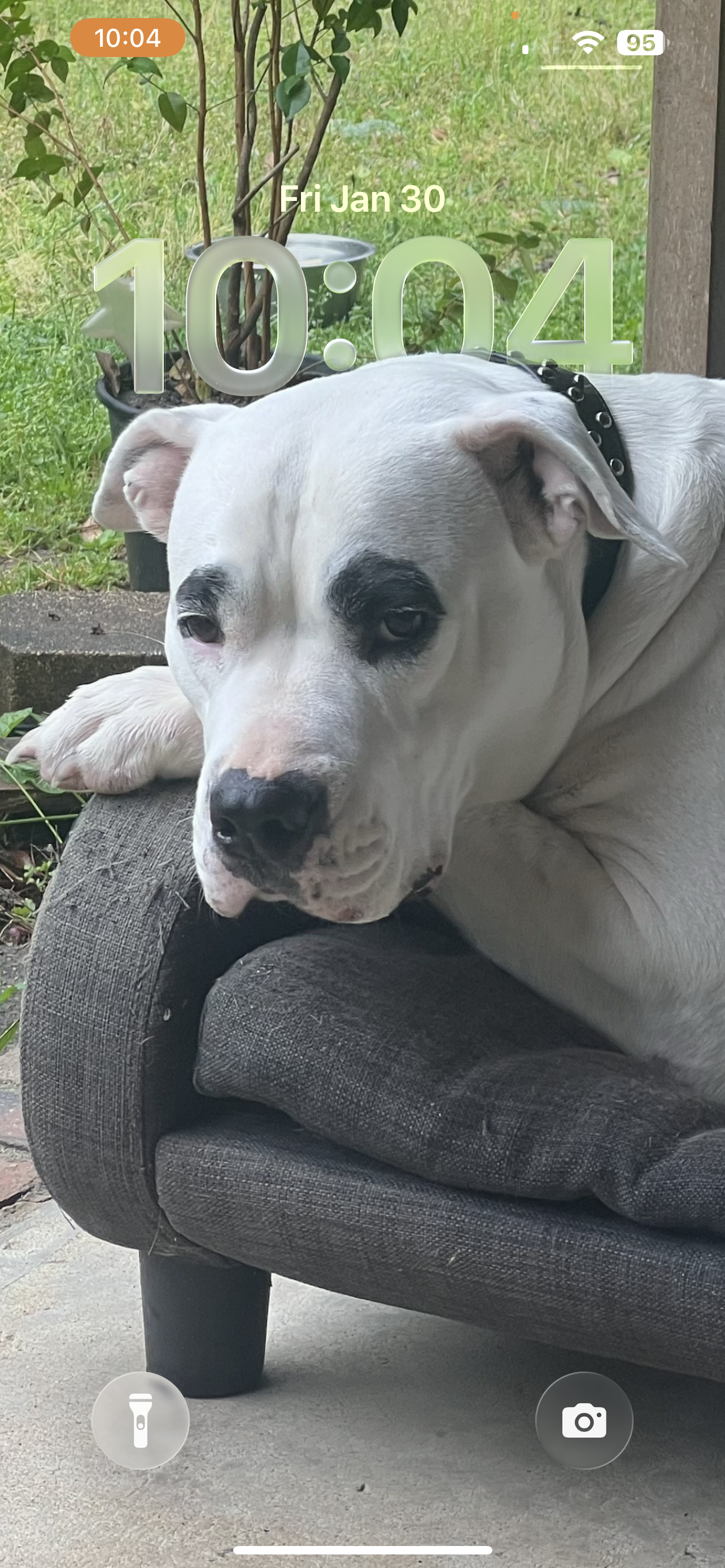 Casper
